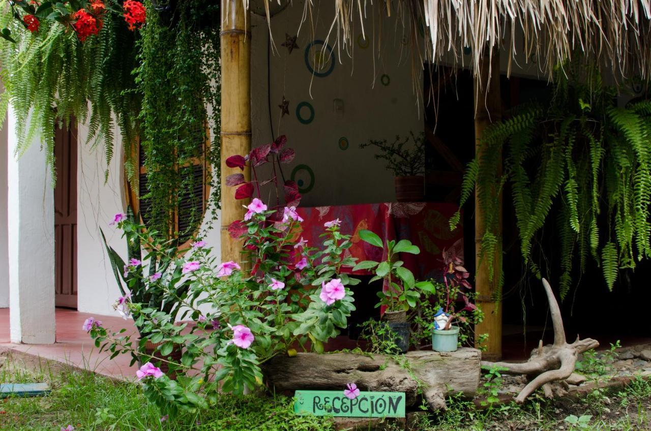 Hostal Corazon De Tagua Паломино Экстерьер фото