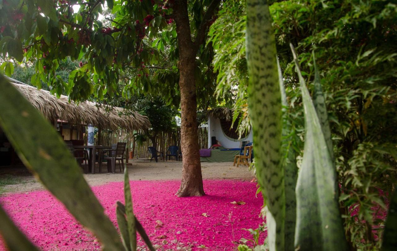 Hostal Corazon De Tagua Паломино Экстерьер фото